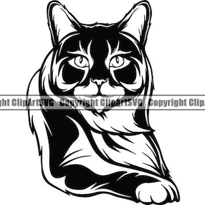 Main Coon # 1 Raça de Gato Lindo Gatinho Gatinho Felino Pedigree Linhagem Pura Animal Animal de Estimação Design Logotipo .SVG .PNG Vetor Cricut Corte Corte