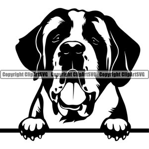 Bernhardiner Spähen Peek-A-Boo Rasse Welpe Welpe Pet Art Berner Berge Größere Schweizer Berge Logo SVG PNG Clipart Vektor Schneiden Schneiden