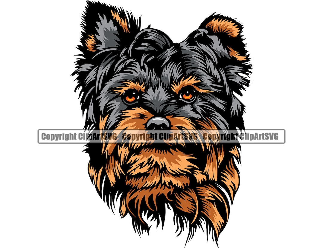 Yorkshire Terrier Dog Head Face Breed Puppy Pup Pet Purebred