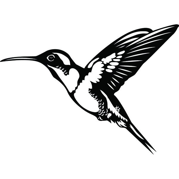 Free Free 113 Cricut Hummingbird Svg Free SVG PNG EPS DXF File