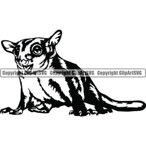 Sugar Glider #1 huisdier vliegende eekhoorn Wild nachtelijk dier Possum natuur zoogdier schattig Wildlife Logo.SVG. PNG Clipart Vector Cricut knippen snijden