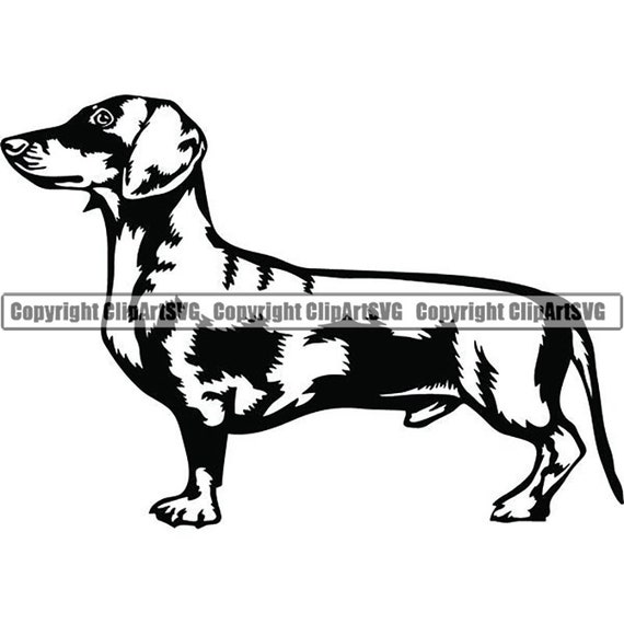 Dachshund 51 Puppy Dog Breed Wire Smooth Long Haired K 9 Etsy