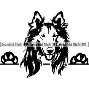 Rough Collie #5 Peeking Smiling Dog Breed Pedigree K-9 Animal Pet Purebred Shetland Sheepdog Logo.SVG .PNG Clipart Vector Cricut Cut Cutting