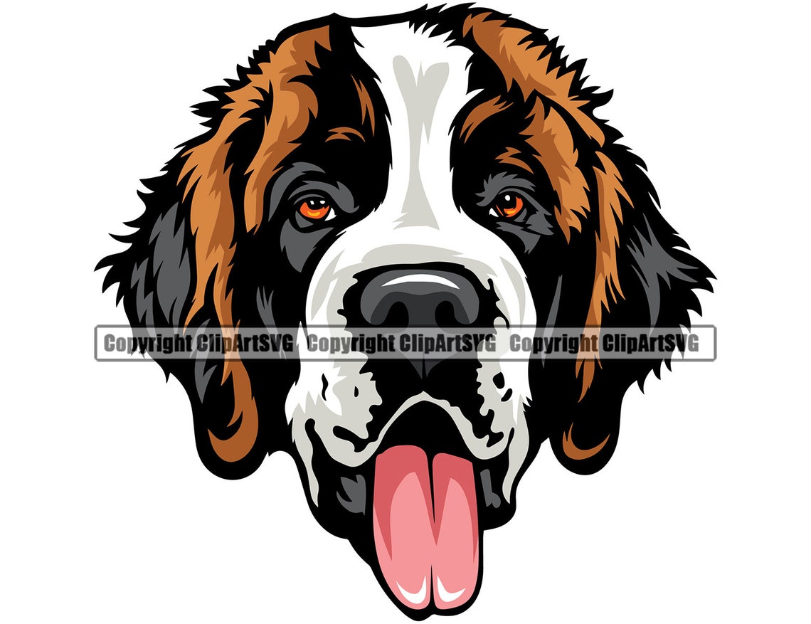 Saint St Bernard Dog Breed Head Face Puppy Animal Pet Happy | Etsy