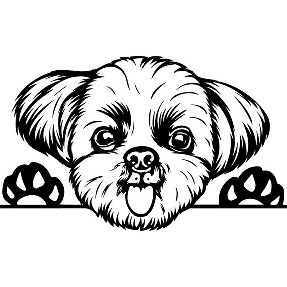 Shih Tzu 13 Peeking Dog Breed K9 Toy Group Lap Animal Pet