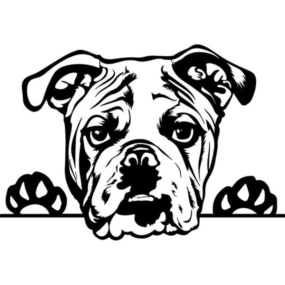 Free Free American Bulldog Svg 781 SVG PNG EPS DXF File