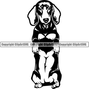 Dachshund Dog Beg Begging Breed Smiling Happy Paw Puppy Pup Pet Purebred Pedigree Animal Art Logo SVG PNG Clipart Vector Cricut Cut Cutting