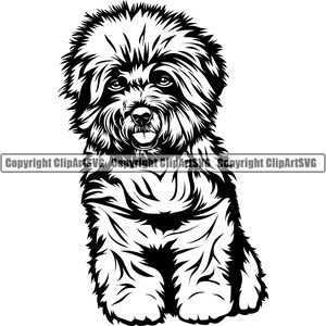 Bichon frisé chien assis assis heureux race patte chiot chiot animal de compagnie fourrure Art oeuvre maltais Shih Tzu bichon havanais Logo SVG PNG Clipart vecteur coupe coupe