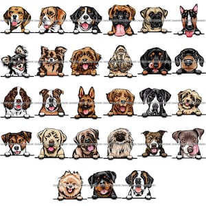 BÜNDEL Hunderassen Spähen Peek-A-Boo Welpe Welpe Hunde Stammbaum Reinrassige Blutlinie Haustier Logo Design SVG PNG Clipart Vektor Cricut Schnitt Schneiden