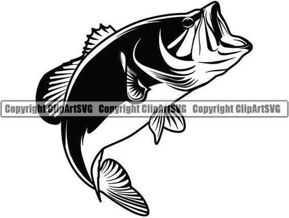 Free Free Striped Bass Svg Free SVG PNG EPS DXF File