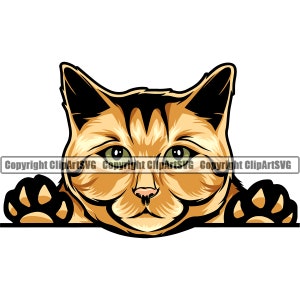Ginger Cat Breed Peeking Peek-A-Boo Kitten Kitty Feline Pedigree Purebred Animal Pet Art Design Logo SVG PNG Vector Cricut Cut Cutting File