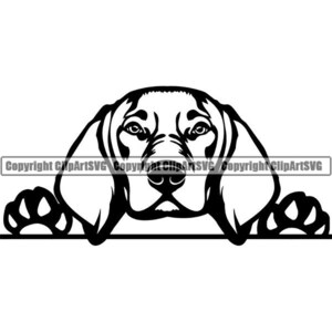 Vizsla #11 Spähen Hunderasse Stammbaum Hunde Reinrassige K-9 Haustier Jagdhund Tier Weimaraner Design Logo.SVG .PNG Clipart Vektor Cricut Cut Cutting