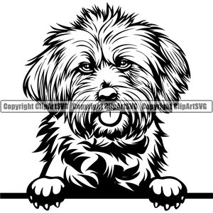 Lhasa Apso Hunderasse Spähen Peek-A-Boo Welpe Haustier Old English Sheepdog Malteser Shih Tzu Bichon Frise Havaneser Logo SVG Clipart Schneiden Schneiden