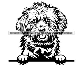May include: Black and white illustration of a fluffy dog peeking over a surface. The dog has a long, shaggy coat and a playful expression.