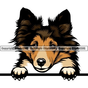 Shetland Sheepdog hond gluren Peek-A-Boo ras glimlachend puppy dier huisdier Hound Canine Collie kunst artwork logo. JPG. PNG. SVG clipart vector
