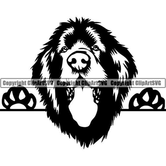 Download Newfoundland 10 Peeking Smiling Dog Breed Puppy Pedigree Etsy PSD Mockup Templates