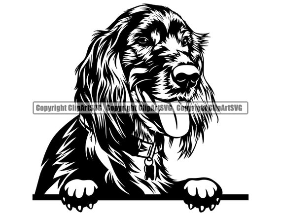 Irish Setter Dog Breed Peeking Peek-a-boo Puppy Pup Pet Cocker