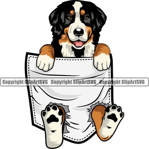 Berner Sennenhund Rasse Shirt Tasche niedlich Pfote Welpe Welpe Haustier Silhouette Design Element Logo SVG PNG Clipart Vektor Cricut Cut Schneidedatei