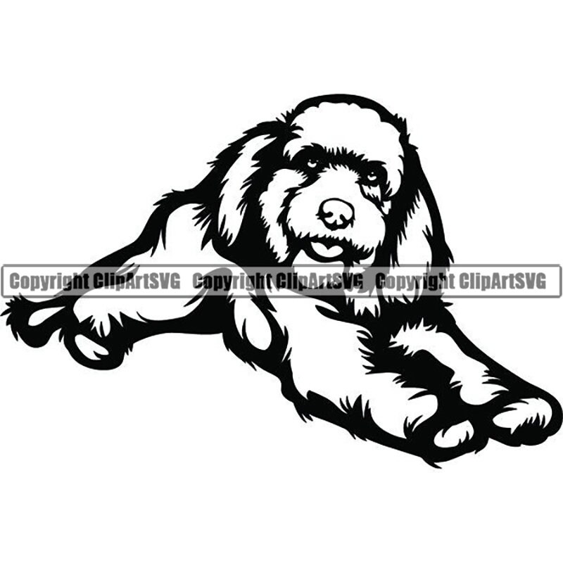 Cockapoo 15 Happy Dog Smiling Breed K-9 Animal Pet Puppy ...