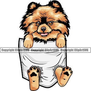Pomeranian Dog Breed Paw Hanging Shirt Pocket Puppy Pup Pet Silhouette Design Element Logo SVG PNG Clipart Vector Cricut Cut Cutting File