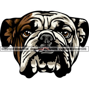 Engelse Bulldog Hond Hoofd Gezicht Ras Happy Paw Puppy Pup Pet Art K9 Dogue de Bordeaux Bull Mastiff Logo SVG PNG Clipart Vector Knippen