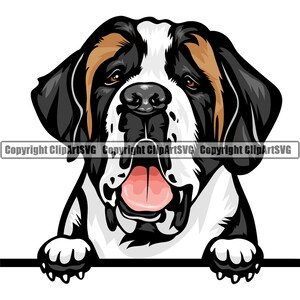 Bernhardiner Hunderasse Lächelnd Welpe Tier Haustier glücklich Stammbaum Reinrassige Eckzahn Berner Berg Heilige Kunstwerk Logo JPG PNG SVG Clipart Vektor
