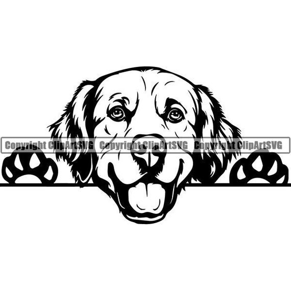 Download Golden Retriever 6 Peeking Smiling Dog Breed K 9 Animal Pet Etsy