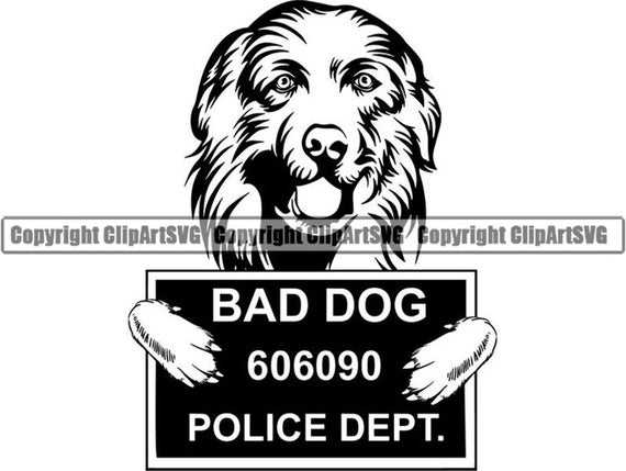 Great Pyrenees 12 Bad Dog Funny Jail Mugshot Breed Golden Etsy