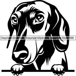 Puede incluir: Ilustración en blanco y negro de un perro salchicha asomándose por encima de una superficie con sus patas visibles. El perro tiene un hocico largo y orejas caídas.