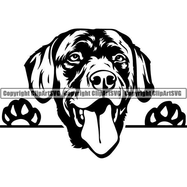 Labrador Retriever #53 Peeking Smiling Dog Breed K-9 Animal Pet Puppy Paws Canine Pedigree Logo .SVG .PNG Clipart Vector Cricut Cut Cutting