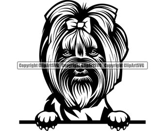 Yorkshire Terrier Dog Peeking Peek-A-Boo Puppy Pet Purebred Pedigree West Highland Chihuahua Yorkie Westie Logo SVG PNG Clipart Vector Cut