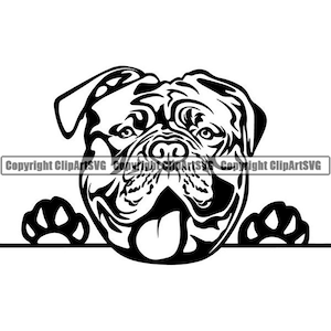 Mastiff #1 nieuwsgierige hond glimlachend gelukkig RAS Puppy Pedigree Bordeauxdog Bull Franse dierlijke huisdier Logo. SVG. PNG Vector Cricut Cut snijden