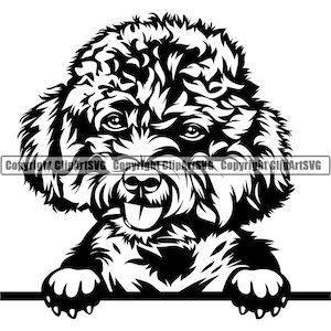 Caniche Perro Raza Peeking Peek-A-Boo Cachorro Cachorro Mascota K-9 Arte Labradoodle Cockapoo Goldendoodle Arte Logotipo SVG PNG Clipart Vector Corte Corte