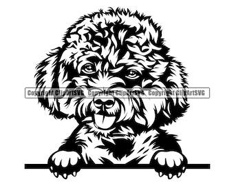 Poodle Dog Breed Peeking Peek-A-Boo Puppy Pup Pet K-9 Art Labradoodle Cockapoo Goldendoodle Artwork Logo SVG PNG Clipart Vector Cut Cutting