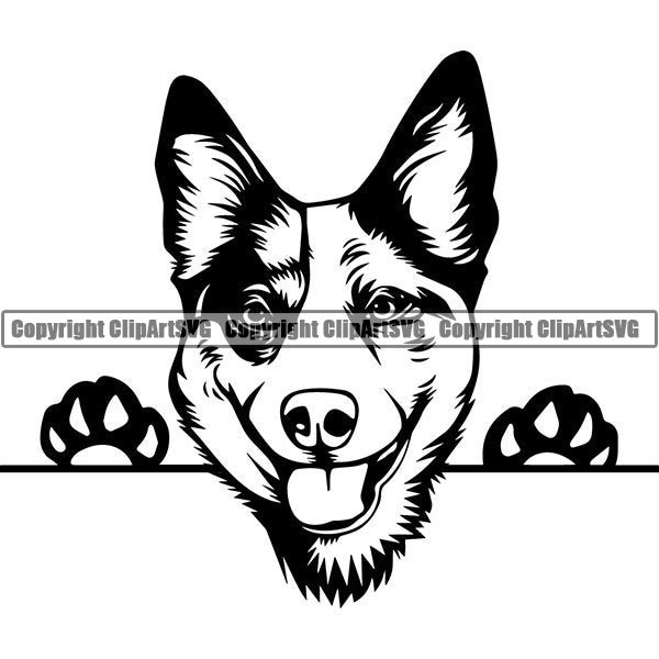 Australian Cattle Dog #1 Peeking Aussie Smiling Happy Breed Puppy Pedigree Purebred Animal Pet Logo .SVG .PNG Vector Cricut Cut Cutting File