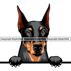 Doberman Pinscher Dog Peeking Peek-A-Boo Breed Happy Puppy Animal Pet Color Artwork Hound Dobermann Dobe Design Logo PNG SVG Clipart Vector