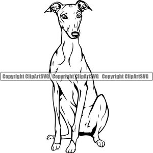 Galgo Cachorro Sentado Raça Feliz Sorriso Pata Filhote De Cachorro Animal De Estimação K-9 Canino Italiano Saluki Whippet Arte Logotipo SVG PNG Clipart Corte Corte