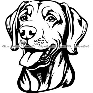 Rhodesian Ridgeback Dog Smiling Cute Puppy Face Canine Pet Love Breed Studio Portrait Paw Cartoon Drawing Art Logo Tattoo Design SVG PNG Cut