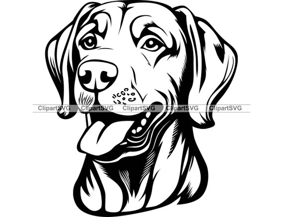 Ridgeback Logo Rhodesian Ridgeback #8 Peeking Paws Dog Breed Pedigree