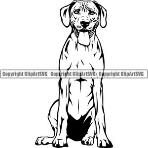 Rhodesian Ridgeback Dog Breed Sit Sitting Happy Paws Pedigree Canine Purebred K-9 Pet Hound Animal Logo SVG PNG Clipart Vector Cut Cutting