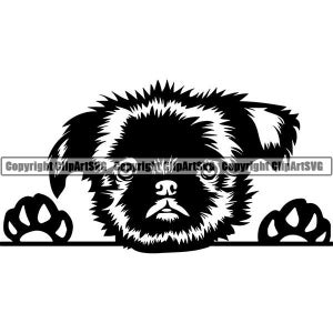 Brussels Griffon #1 sbirciando cane cucciolo sorridente Paws Pedigree razza animale domestico Griffon Bruxellois Logo. SVG. PNG Clipart vettoriale Cricut tagliare taglio