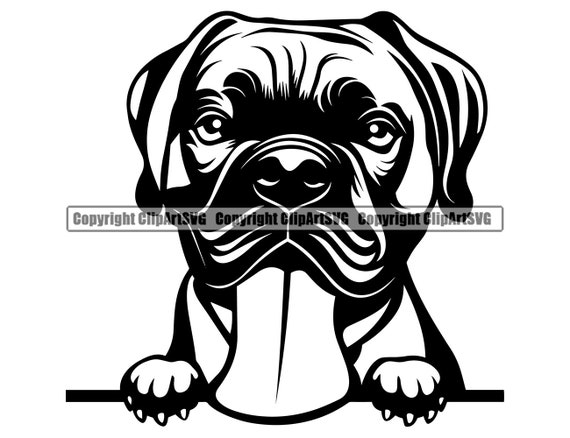 Download German Boxer Dog Peeking Peek A Boo Breed Puppy Pup Pet Etsy PSD Mockup Templates