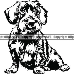 May include: A monochrome illustration of a wire-haired dachshund dog sitting. The dog is depicted with a long body, short legs, and a characteristic beard and eyebrows. This is a vector graphic.