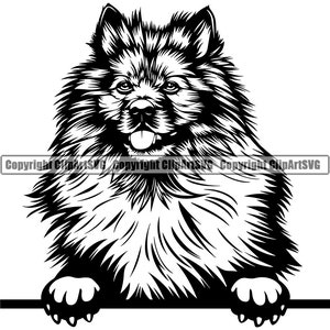 Keeshond hond gluren Peek-A-Boo ras Happy Paw Puppy Pup Pet Shop Canine Spitz Pommeren Samojeed Logo SVG PNG Clipart Vector knippen snijden