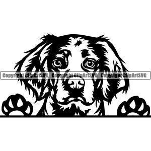 Brittany Spaniel #8 sbirciando sorridente animale domestico cane razza puntatore setter cucciolo pedigree purosangue. SVG. PNG Clipart vettoriale Cricut taglio taglio