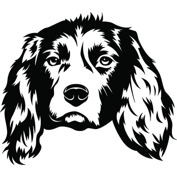 English Springer Spaniel 13 Cute Dog Pedigree Breed K 9 Animal Pet Puppy Hound Cocker Design Logo.SVG.PNG Clipart Vector Cricut Cut Cutting