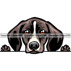 German Shorthaired Pointer Dog Breed Peeking Peek-A-Boo Cute Big Eye Puppy Pup Pet Cartoon Weimaraner Vizsla Logo SVG PNG Clipart Vector Cut