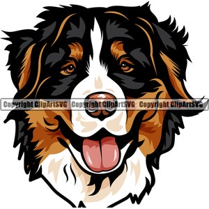 Berner Sennenhund Rasse Glückliches Gesicht Welpe Tier Haustier Stammbaum Reinrassiger Hund K-9 Farbe Art Artwork Design Logo JPG PNG SVG Clipart Vektor