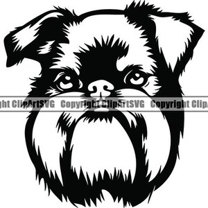 Griffon di Bruxelles #3 adorabile cane sorridente cucciolo zampe pedigree animale domestico razza Griffon Bruxellois Logo. SVG. PNG Clipart vettoriale Cricut taglio taglio