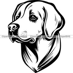 Labrador Retriever Dog Isolated Outlined Sketch Logo Contour Vector  Illustration Royalty Free SVG Cliparts Vectors And Stock Illustration  Image 137030820